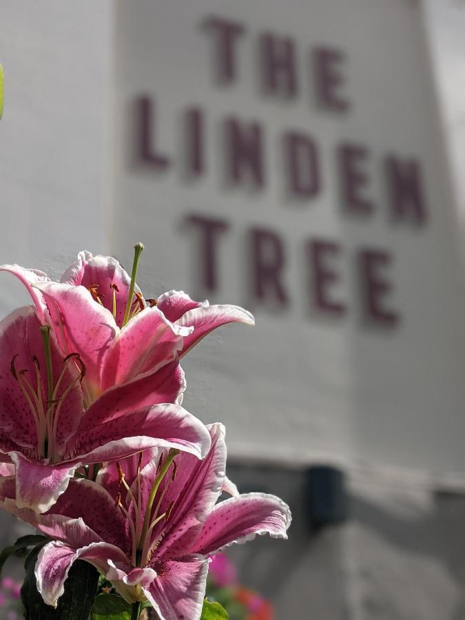Linden Tree Bed and Breakfast Gloucester Exteriör bild